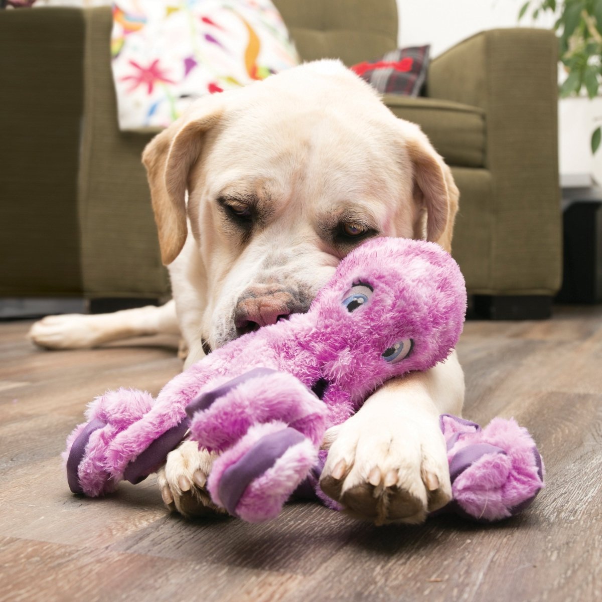 KONG® SoftSeas Octopus - Le Royaume de Lecki