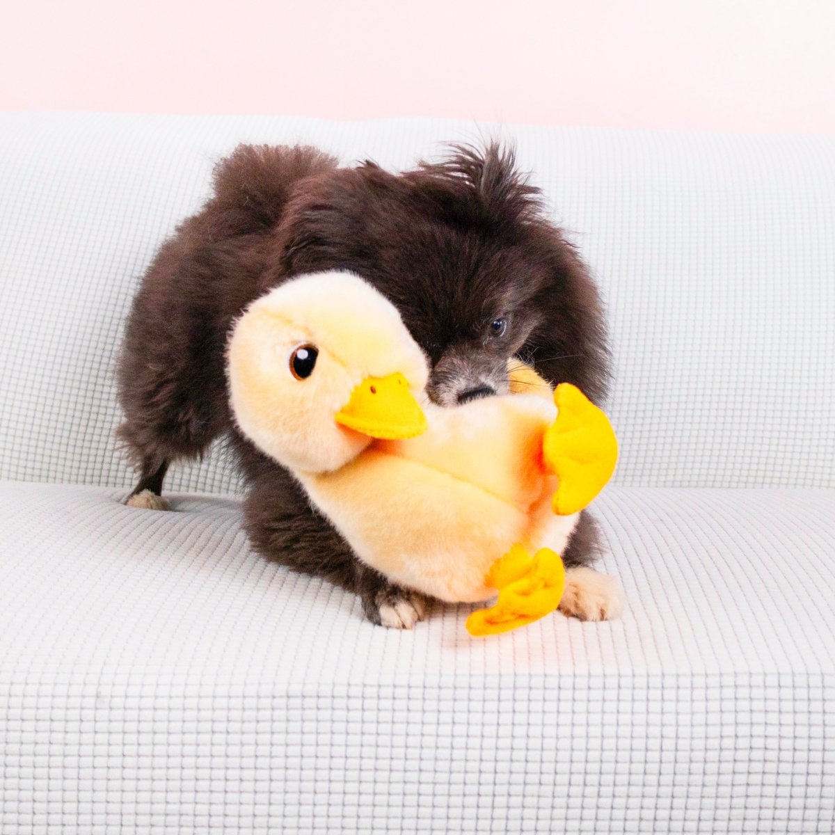 KONG® Toughz Duck - Le Royaume de Lecki