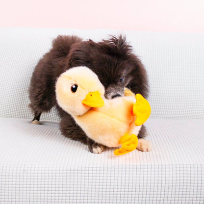KONG® Toughz Duck - Le Royaume de Lecki