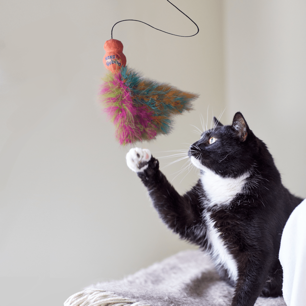 KONG® Wubba Teaser Boa (pour chats) - Le Royaume de Lecki