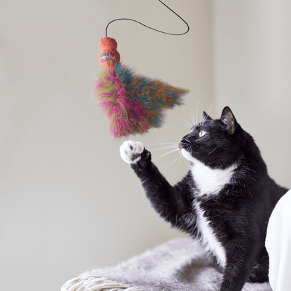 KONG® Wubba Teaser Boa (pour chats) - Le Royaume de Lecki