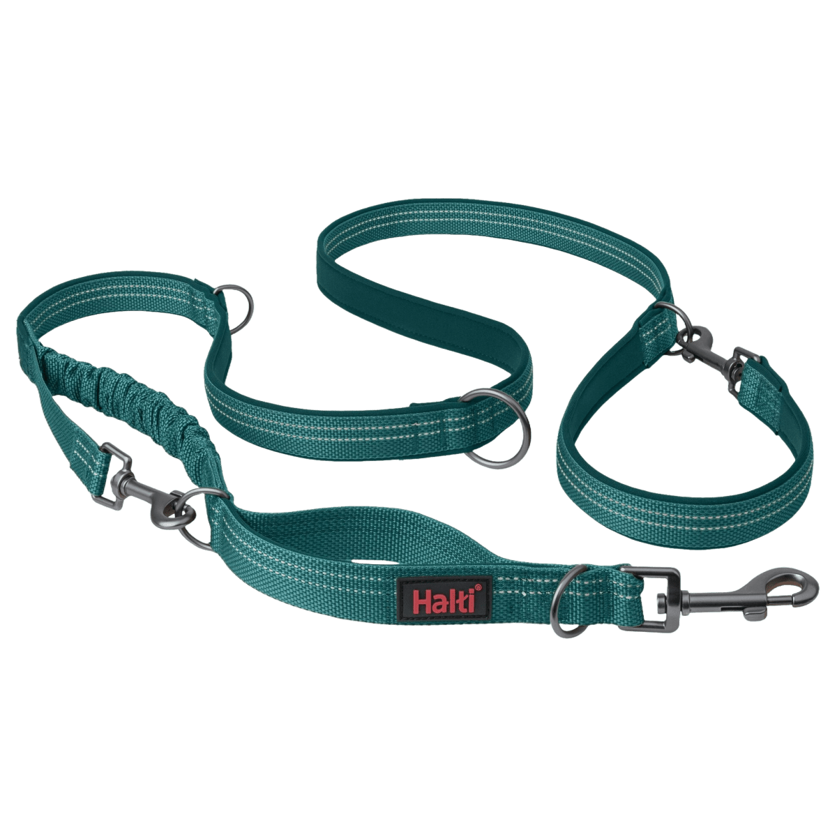 Laisse chien Anatomy Halti - Le Royaume de Lecki