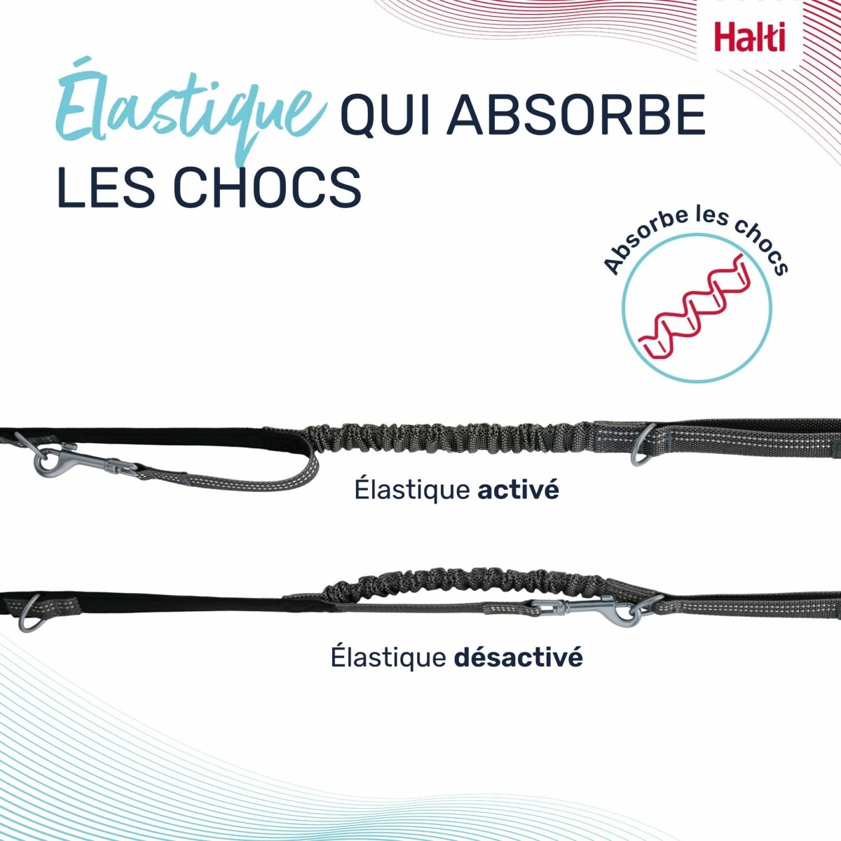 Laisse chien Anatomy Halti - Le Royaume de Lecki