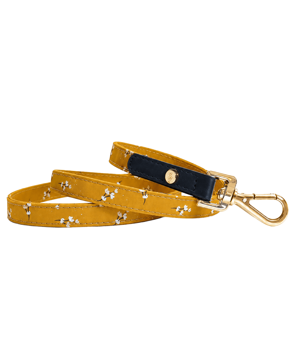 Laisse chien July - Le Royaume de Lecki