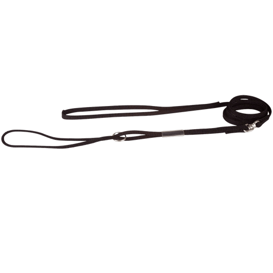 Laisse de présentation - Le Royaume de Lecki