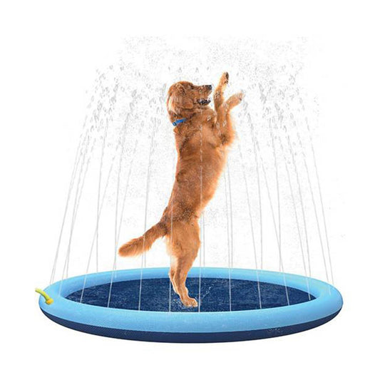 Piscine à jet pour chien - Le Royaume de Lecki