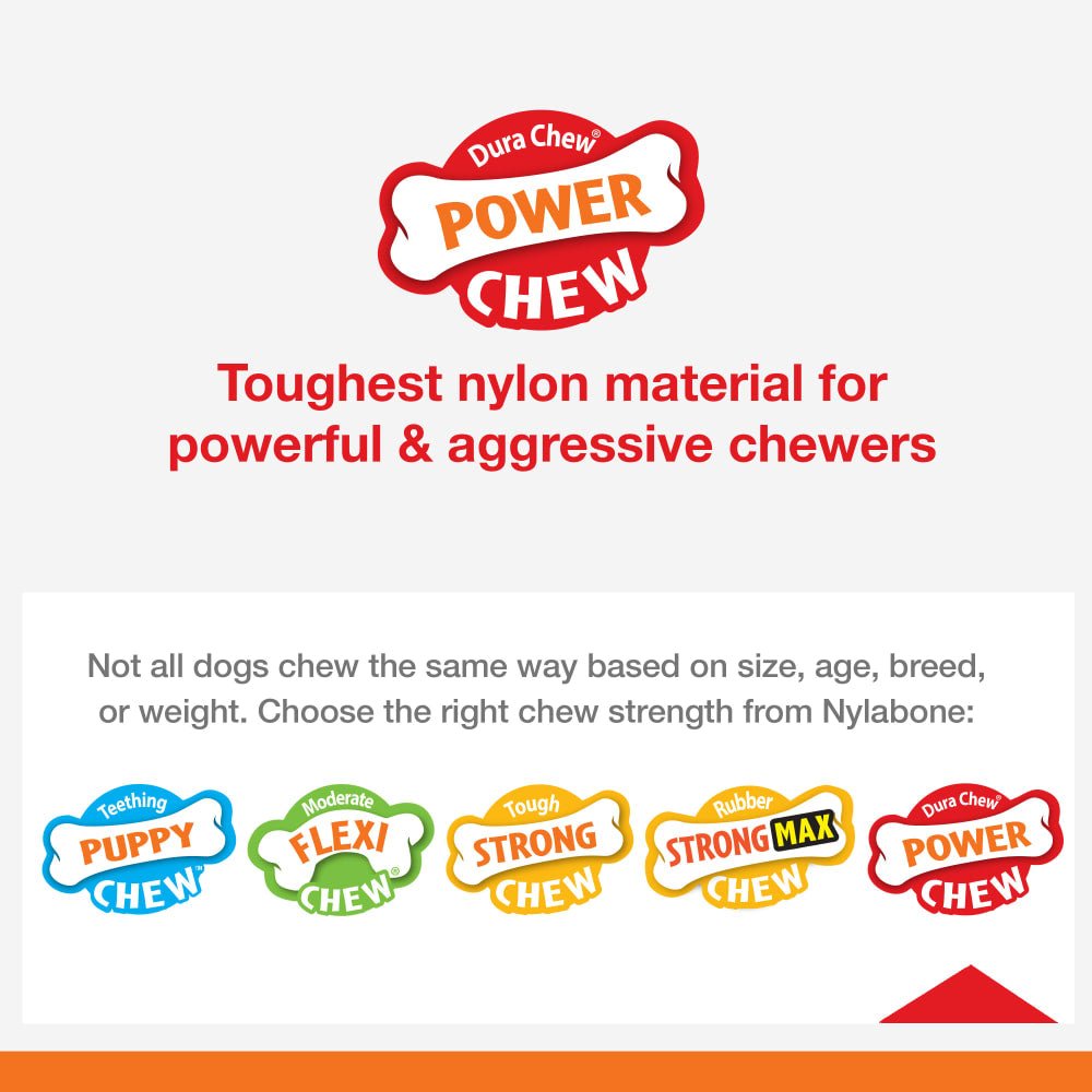 Power Extrême Chew Donut Nylabone - Le Royaume de Lecki