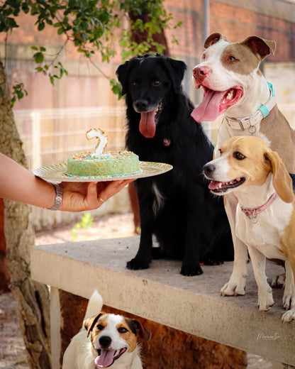 Préparation gâteau Poulet Cooka's Cookies - Le Royaume de Lecki