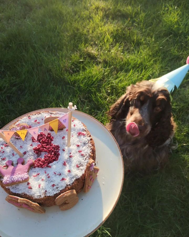 Préparation gâteau Poulet Cooka's Cookies - Le Royaume de Lecki
