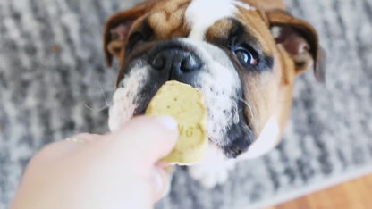 KONG® Snacks pour Chiot