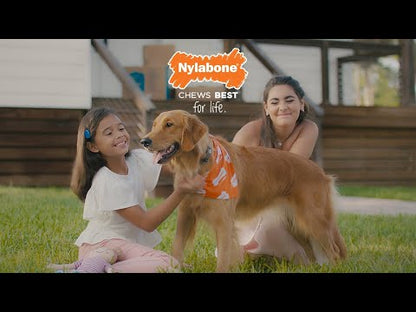 Strong Chew Peanut Nylabone