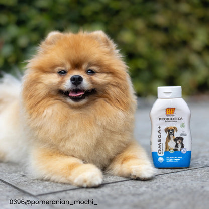 Probiotique Oméga+ BF®Petfood - Le Royaume de Lecki