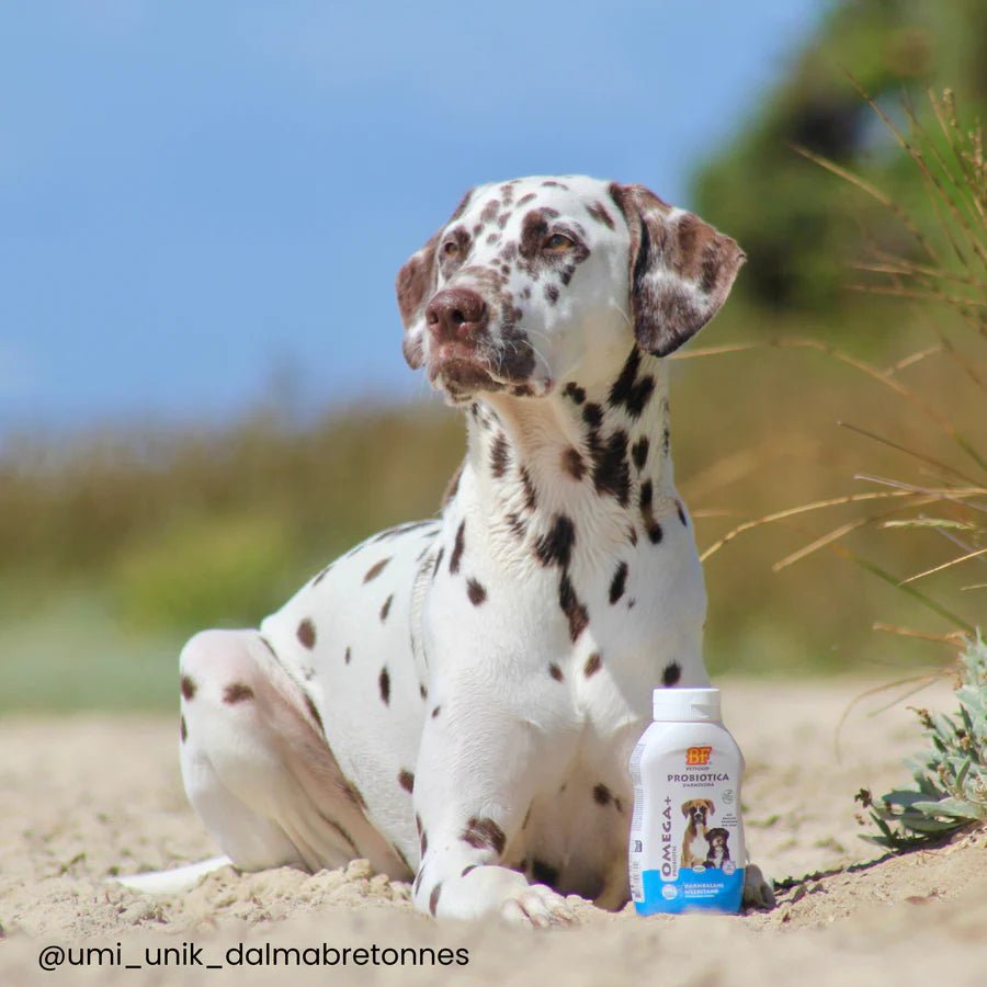 Probiotique Oméga+ BF®Petfood - Le Royaume de Lecki