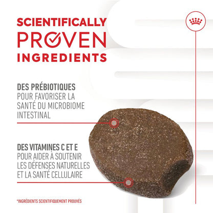 ROYAL CANIN® Immunity & Digestion Puppy Chews - Le Royaume de Lecki
