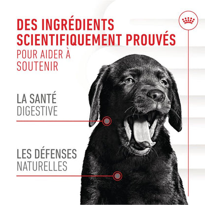 ROYAL CANIN® Immunity & Digestion Puppy Chews - Le Royaume de Lecki