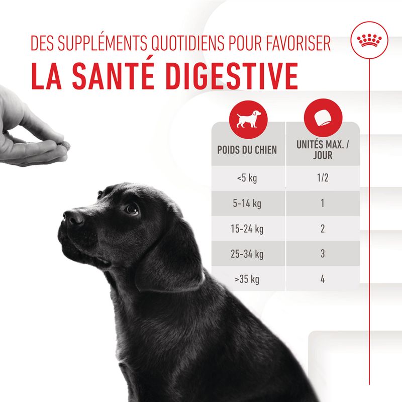 ROYAL CANIN® Immunity & Digestion Puppy Chews - Le Royaume de Lecki