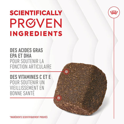 ROYAL CANIN® Joint & Ageing Adult Chews - Le Royaume de Lecki