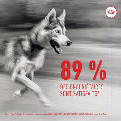ROYAL CANIN® Joint & Ageing Adult Chews - Le Royaume de Lecki
