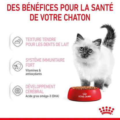 ROYAL CANIN® Kitten Sauce - Le Royaume de Lecki
