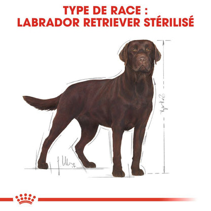 ROYAL CANIN® Labrador Retriever Adult Sterilised - Le Royaume de Lecki