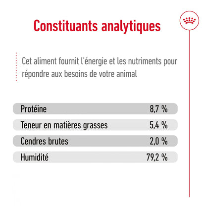 ROYAL CANIN® Maxi Adult Mousse - Le Royaume de Lecki