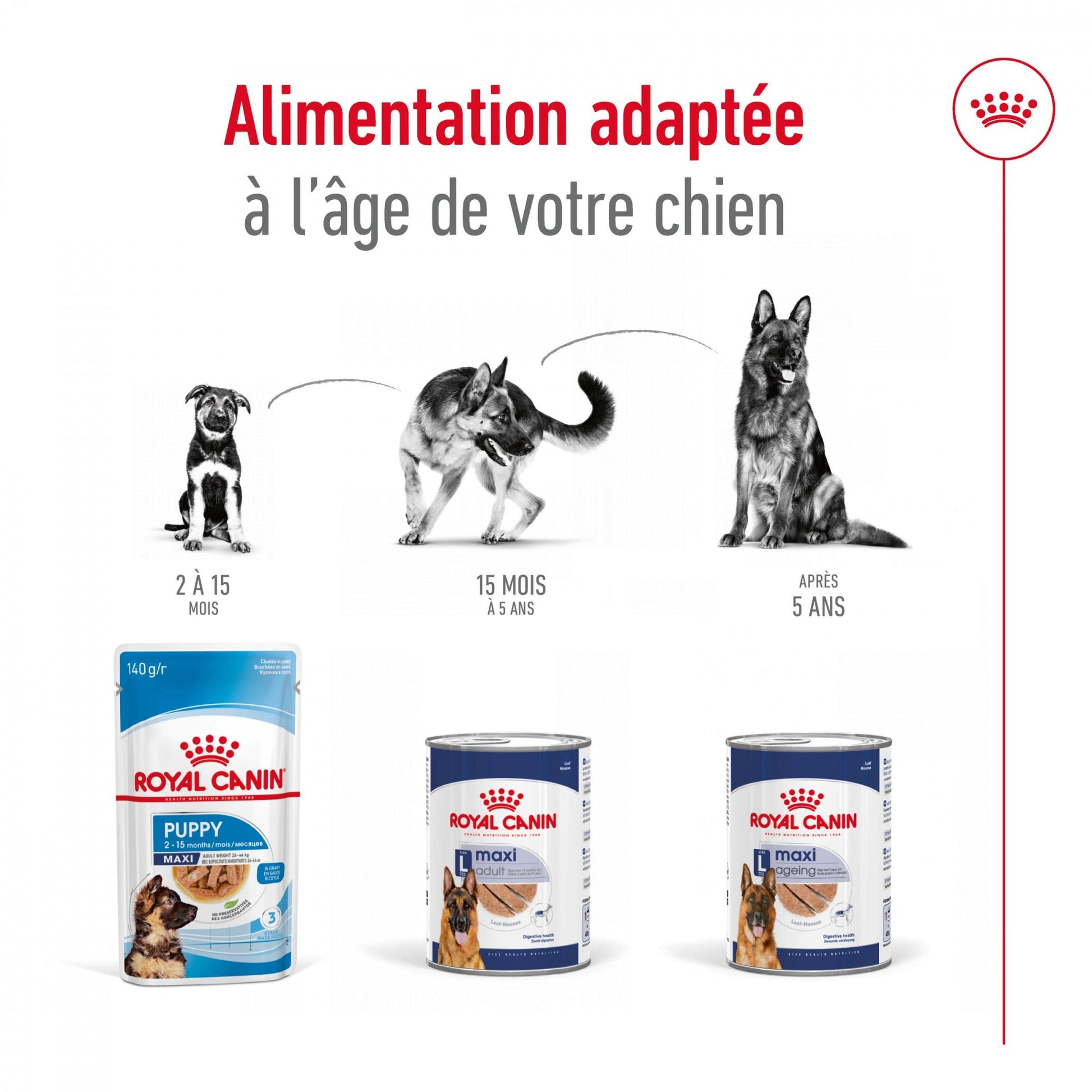 ROYAL CANIN® Maxi Adult Mousse - Le Royaume de Lecki