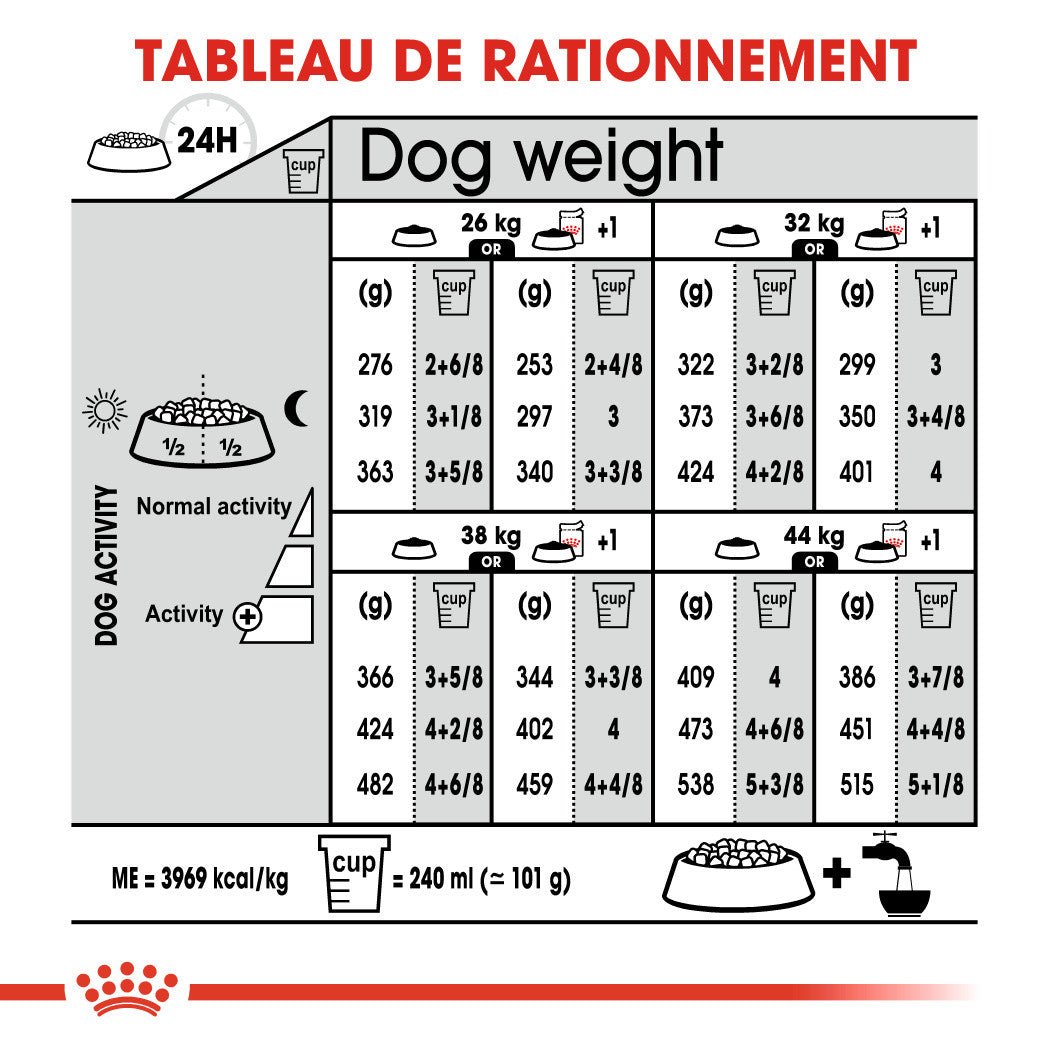 ROYAL CANIN® Maxi Dermacomfort - Le Royaume de Lecki