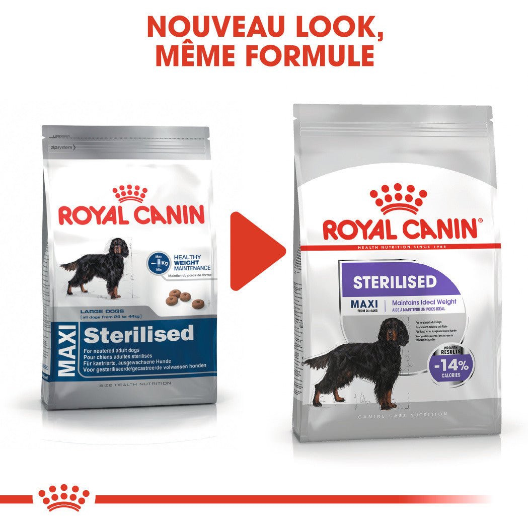 ROYAL CANIN® Maxi Sterilised - Le Royaume de Lecki