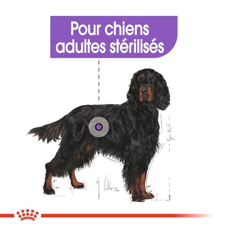 ROYAL CANIN® Maxi Sterilised - Le Royaume de Lecki