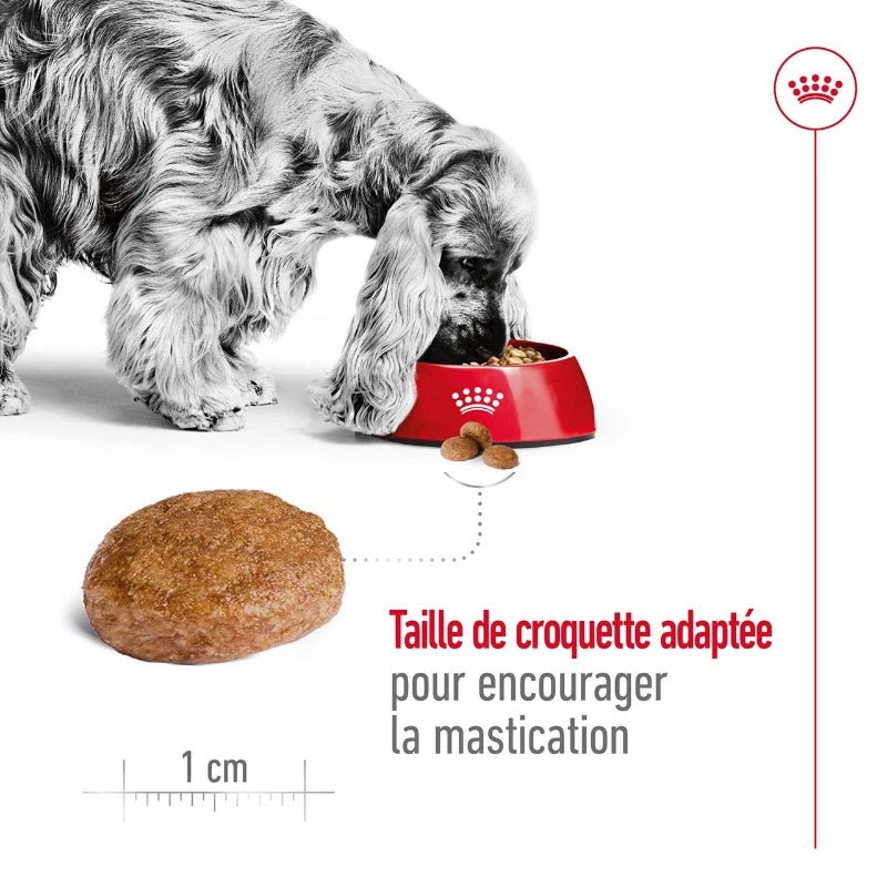 ROYAL CANIN® Medium Adult 7+ - Le Royaume de Lecki