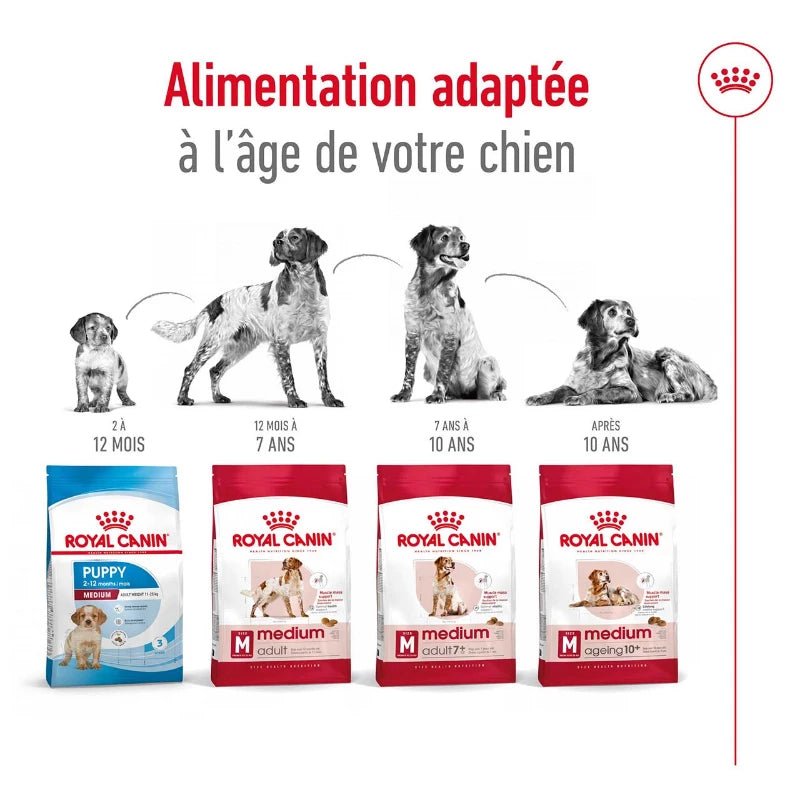 ROYAL CANIN® Medium Adult 7+ - Le Royaume de Lecki