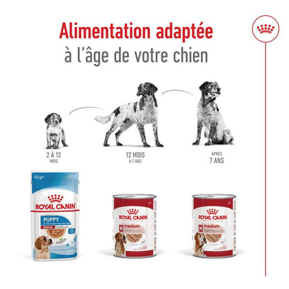 ROYAL CANIN® Medium Adult Mousse - Le Royaume de Lecki