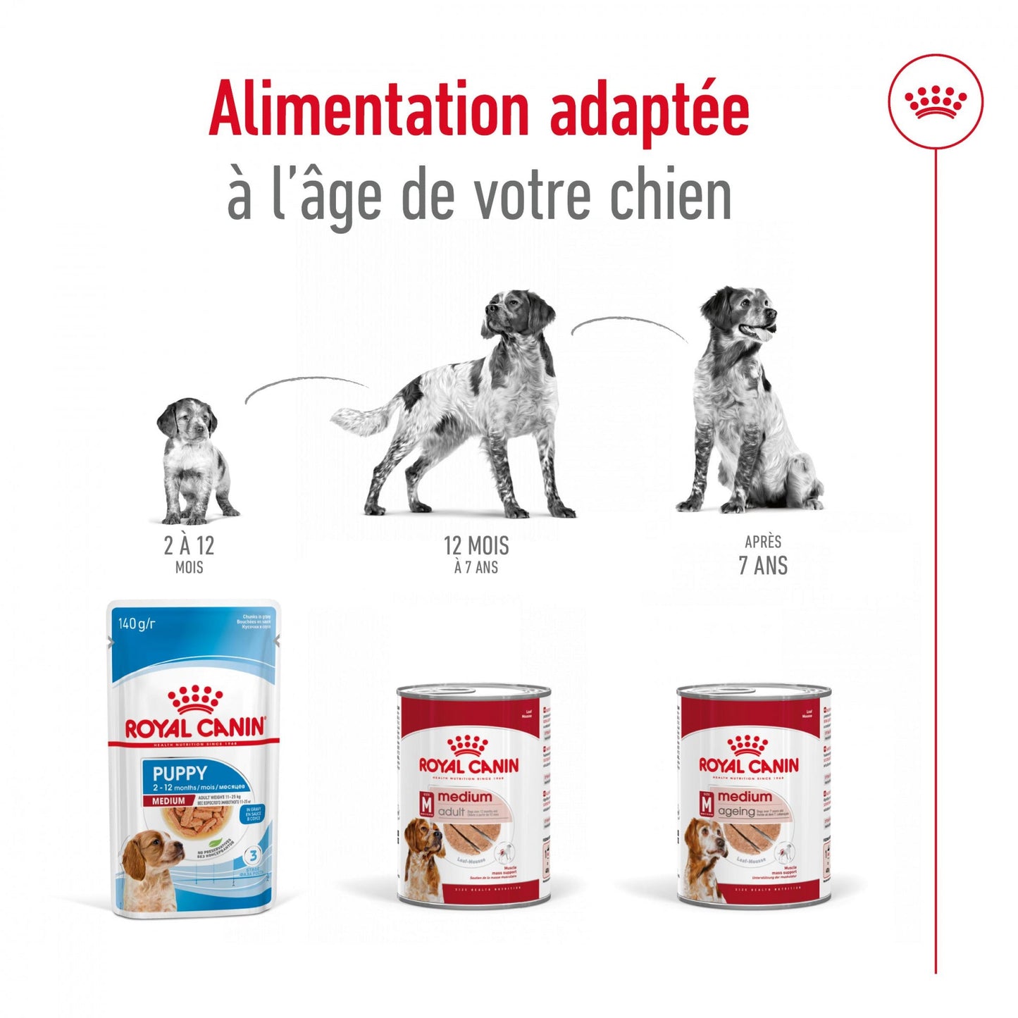 ROYAL CANIN® Medium Ageing 7+ Mousse - Le Royaume de Lecki