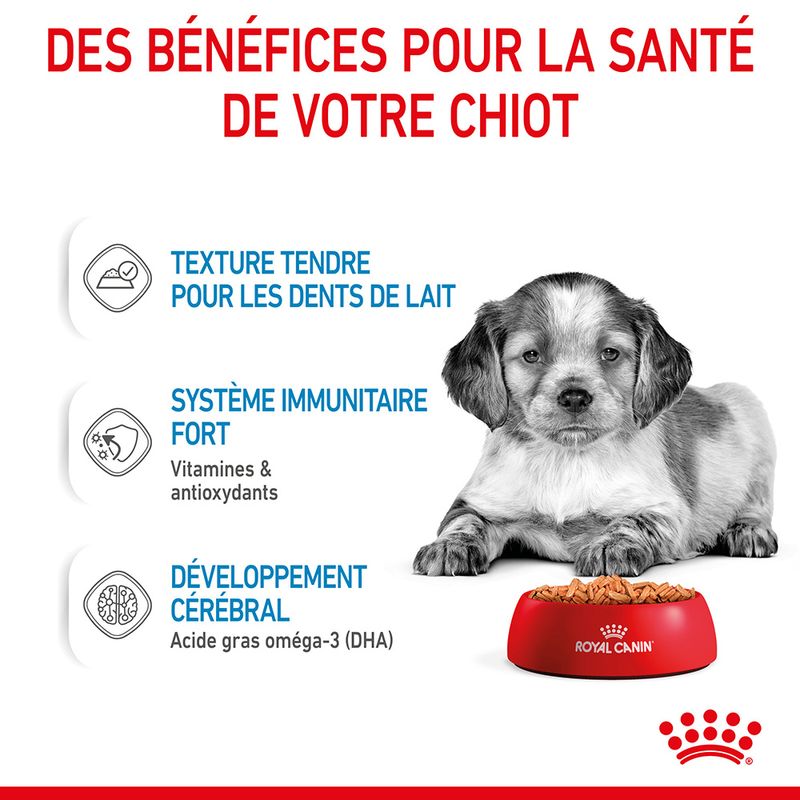 ROYAL CANIN® Medium Puppy Sauce - Le Royaume de Lecki