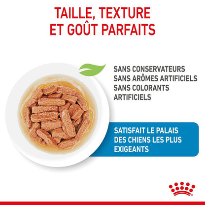 ROYAL CANIN® Medium Puppy Sauce - Le Royaume de Lecki