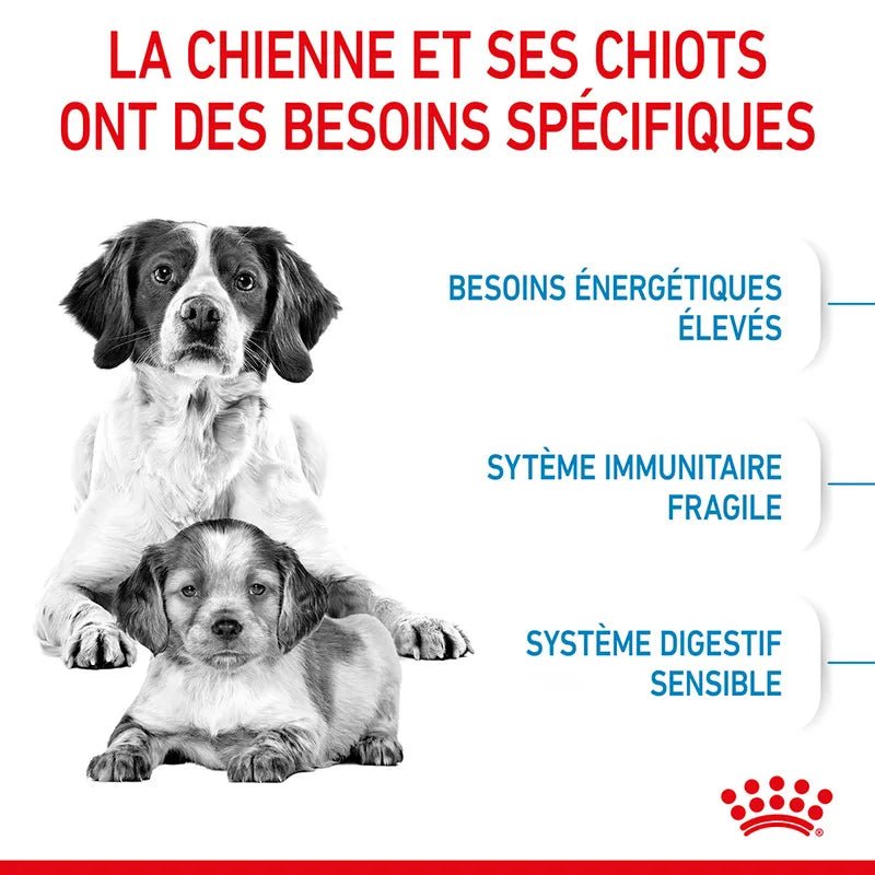 ROYAL CANIN® Medium Starter Mother & BabyDog - Le Royaume de Lecki