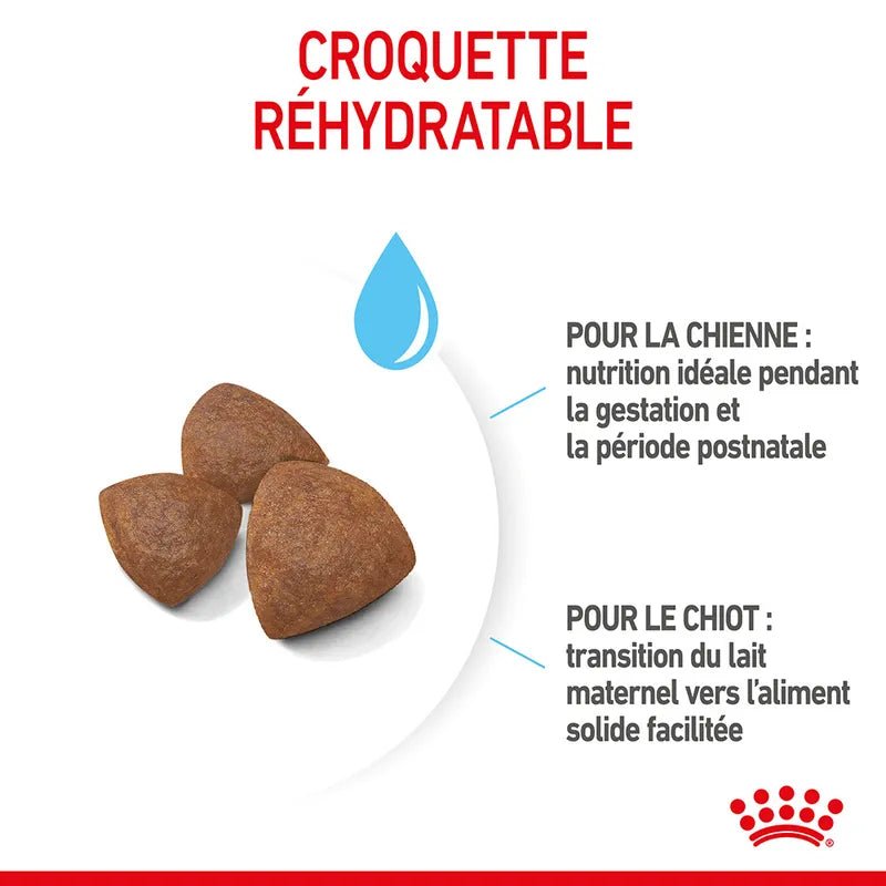 ROYAL CANIN® Medium Starter Mother & BabyDog - Le Royaume de Lecki