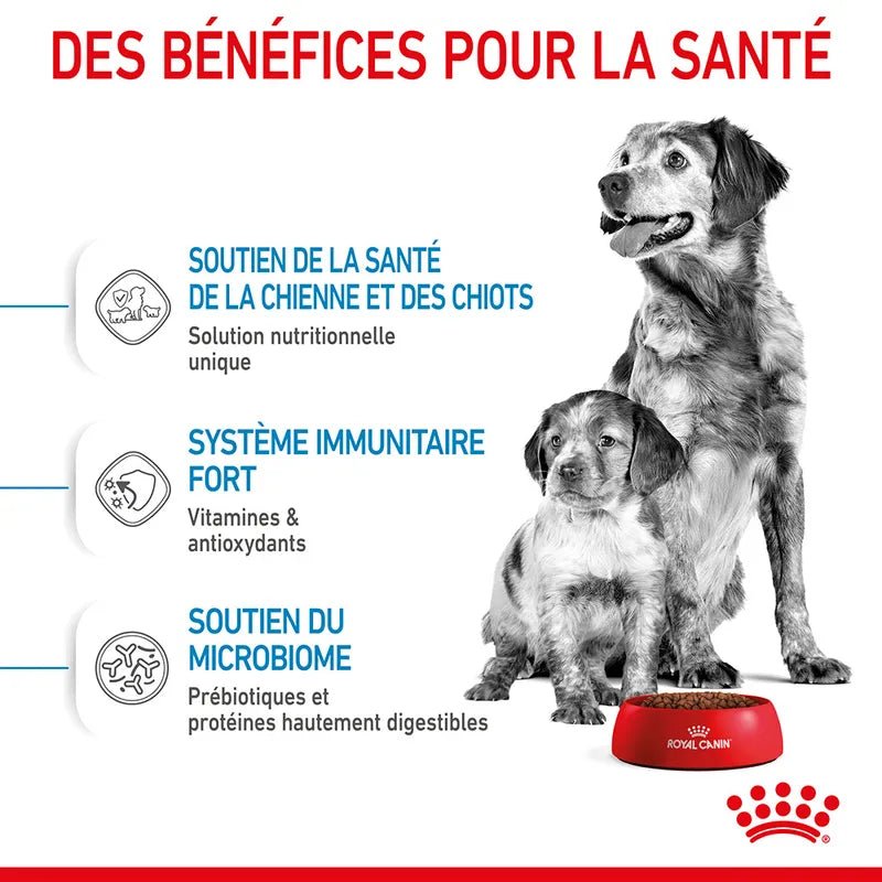 ROYAL CANIN® Medium Starter Mother & BabyDog - Le Royaume de Lecki