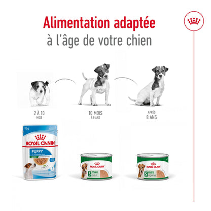 ROYAL CANIN® Mini Adult Mousse - Le Royaume de Lecki