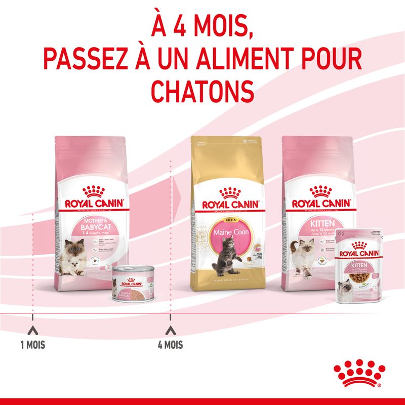ROYAL CANIN® Mousse Mother & BabyCat - Le Royaume de Lecki