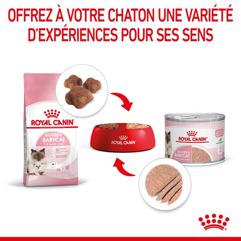 ROYAL CANIN® Mousse Mother & BabyCat - Le Royaume de Lecki