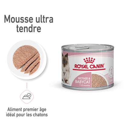 ROYAL CANIN® Mousse Mother & BabyCat - Le Royaume de Lecki