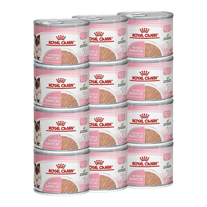 ROYAL CANIN® Mousse Mother & BabyCat - Le Royaume de Lecki