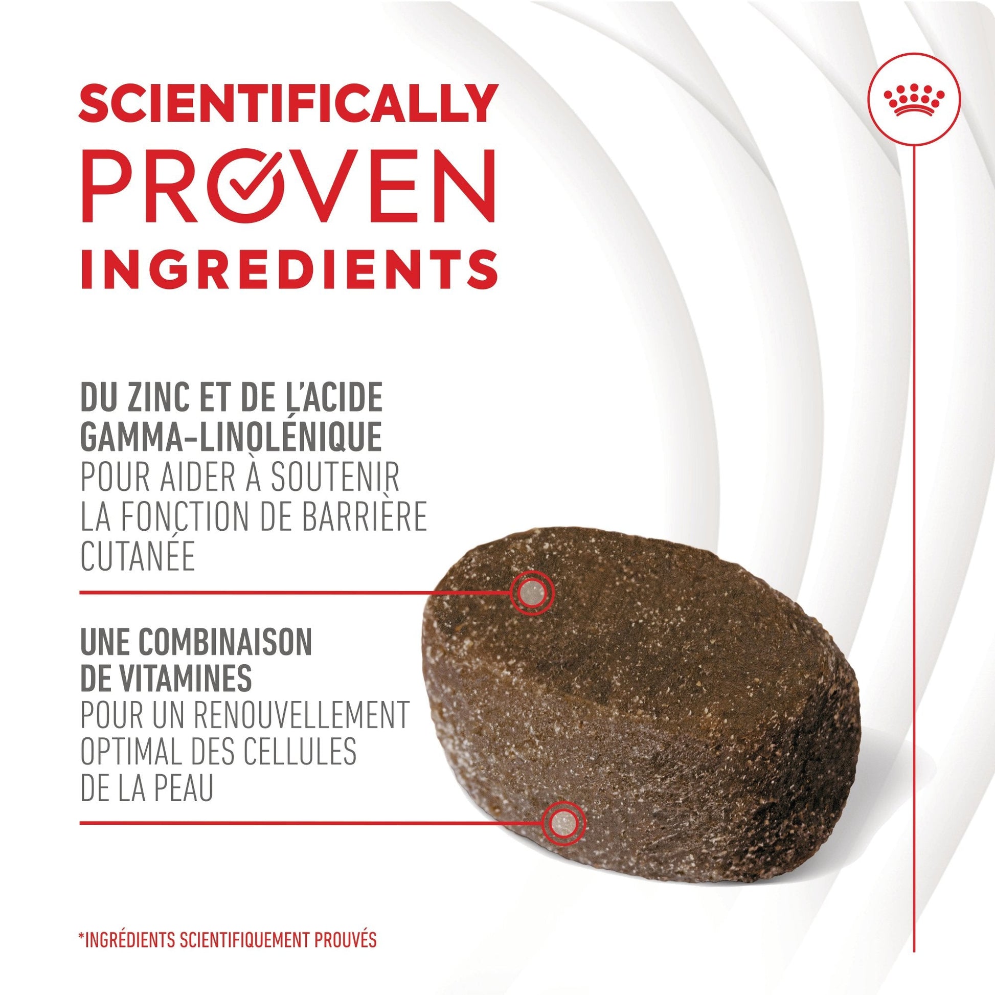 ROYAL CANIN® Skin & Coat Adult Chews - Le Royaume de Lecki
