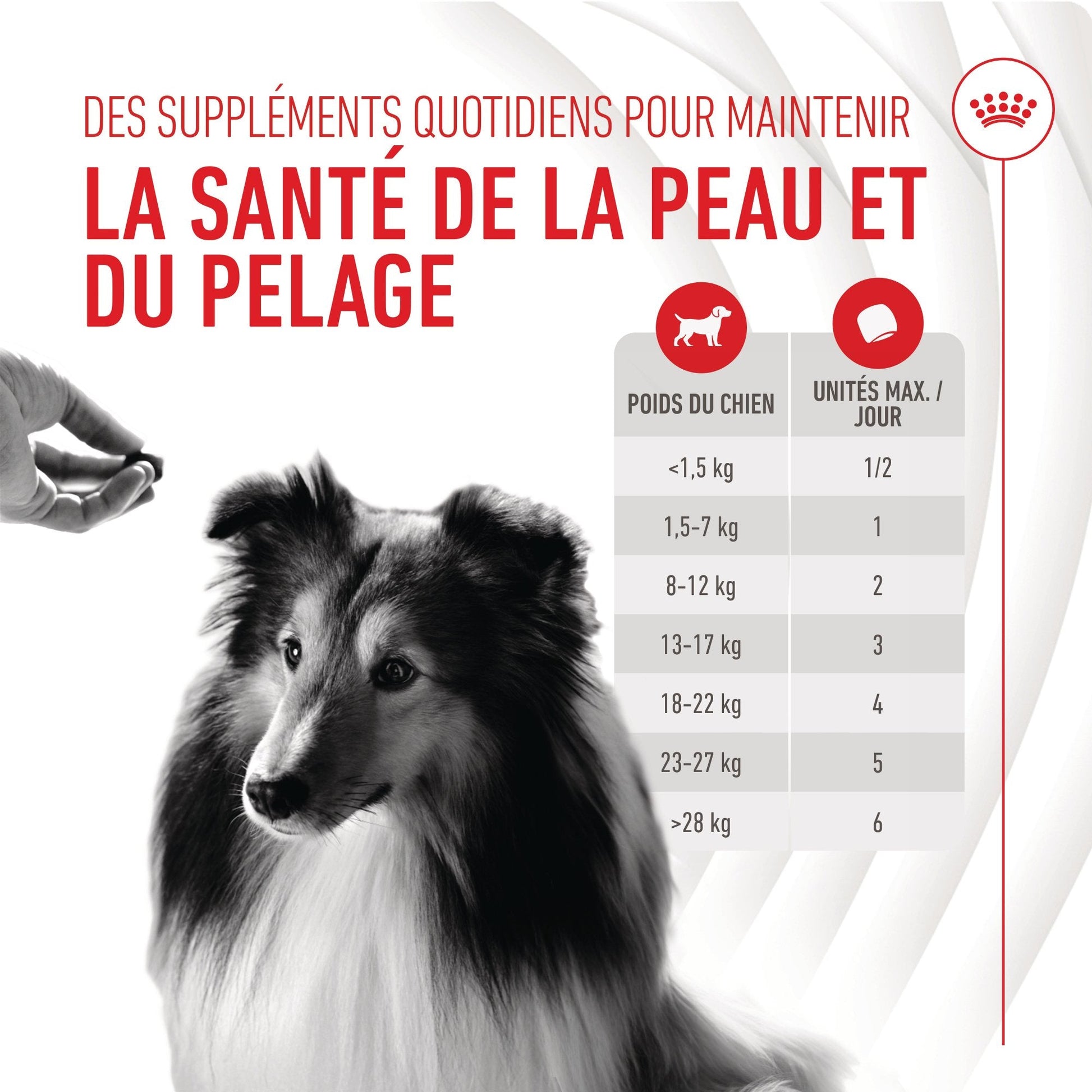 ROYAL CANIN® Skin & Coat Adult Chews - Le Royaume de Lecki