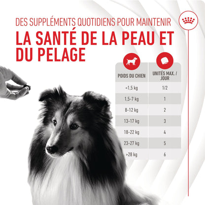 ROYAL CANIN® Skin & Coat Adult Chews - Le Royaume de Lecki