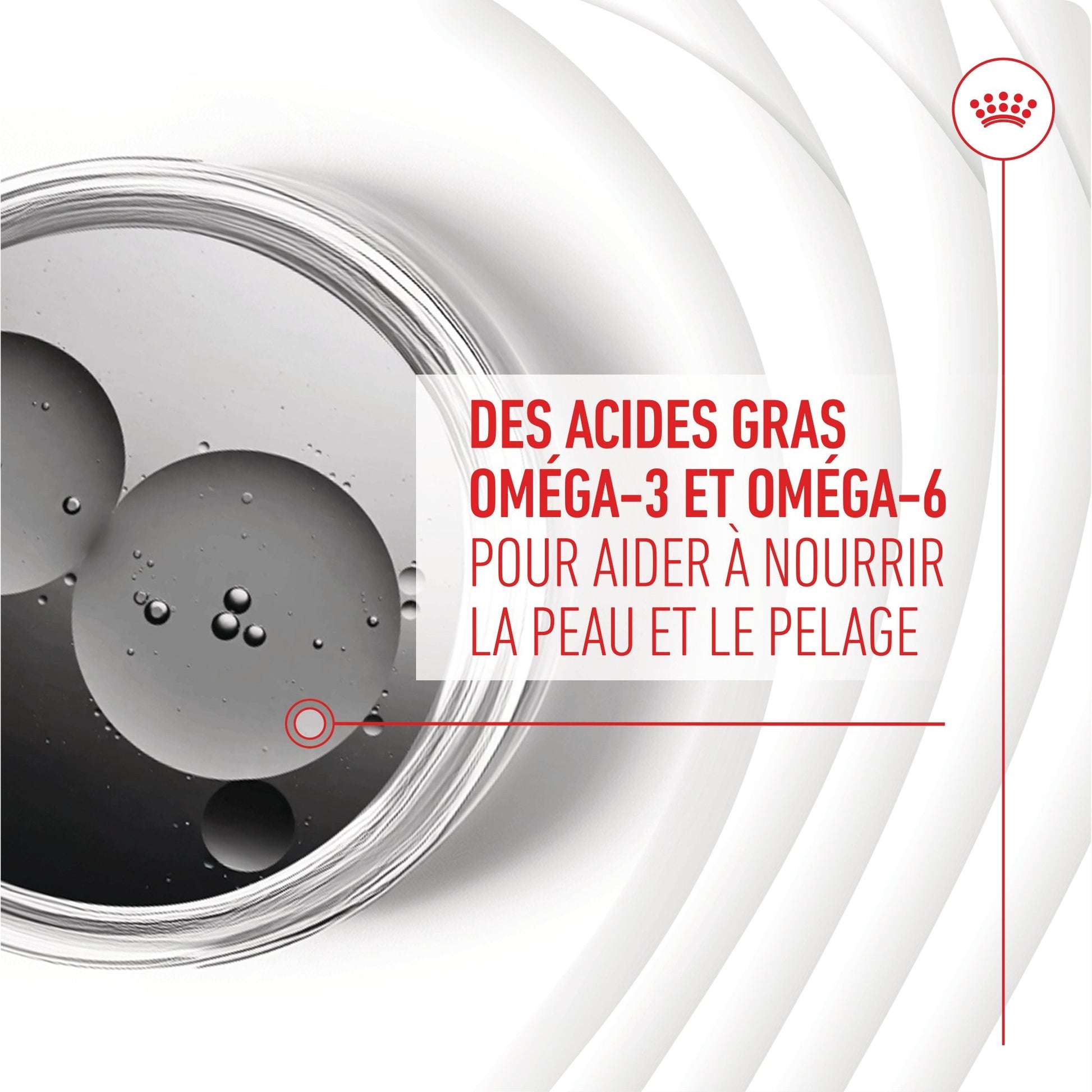 ROYAL CANIN® Skin & Coat Adult Chews - Le Royaume de Lecki