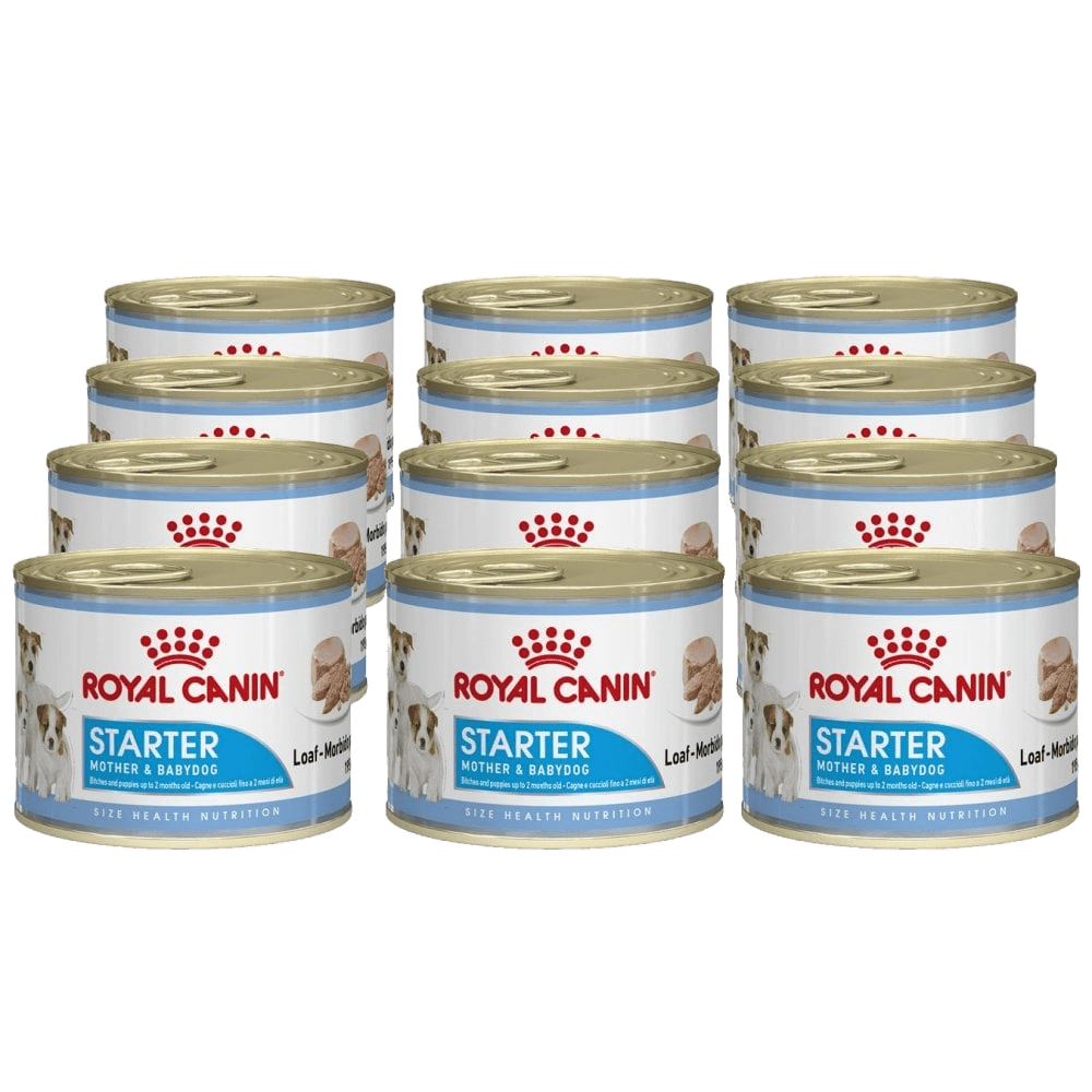 ROYAL CANIN® Starter Mousse Mother & BabyDog - Le Royaume de Lecki