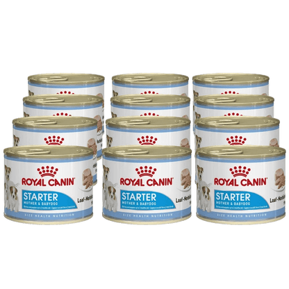 ROYAL CANIN® Starter Mousse Mother & BabyDog - Le Royaume de Lecki