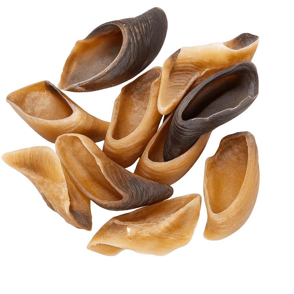 Sabot de veau - Le Royaume de Lecki